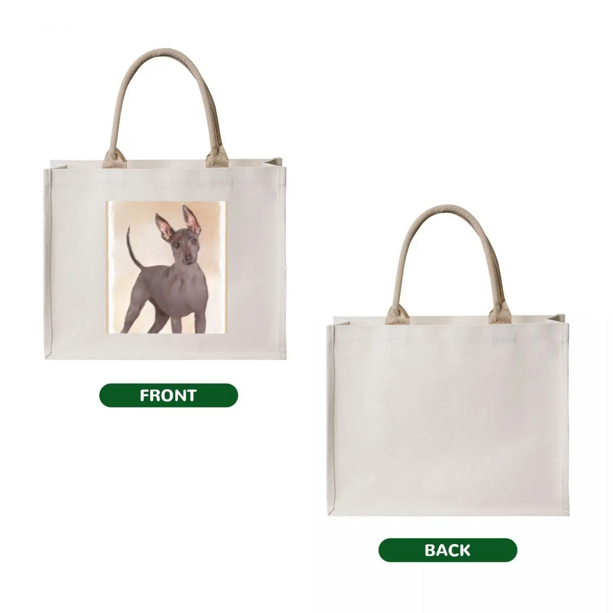 Xoloitzcuintli Painting - Cute Original Dog Art Tote Bag cute pouch bag the tote bag women