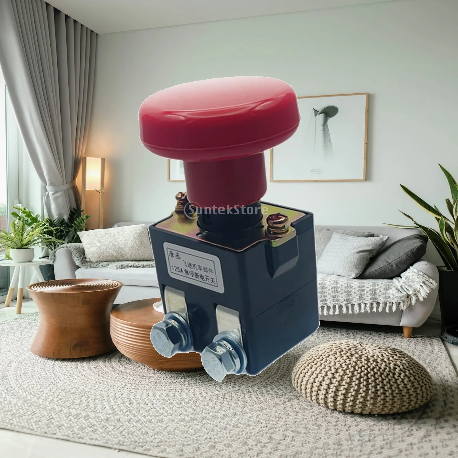 Heavy Duty Push Button E Stop Plastic Emergency Power Disconnect Switch for Sightseeing Vehicle