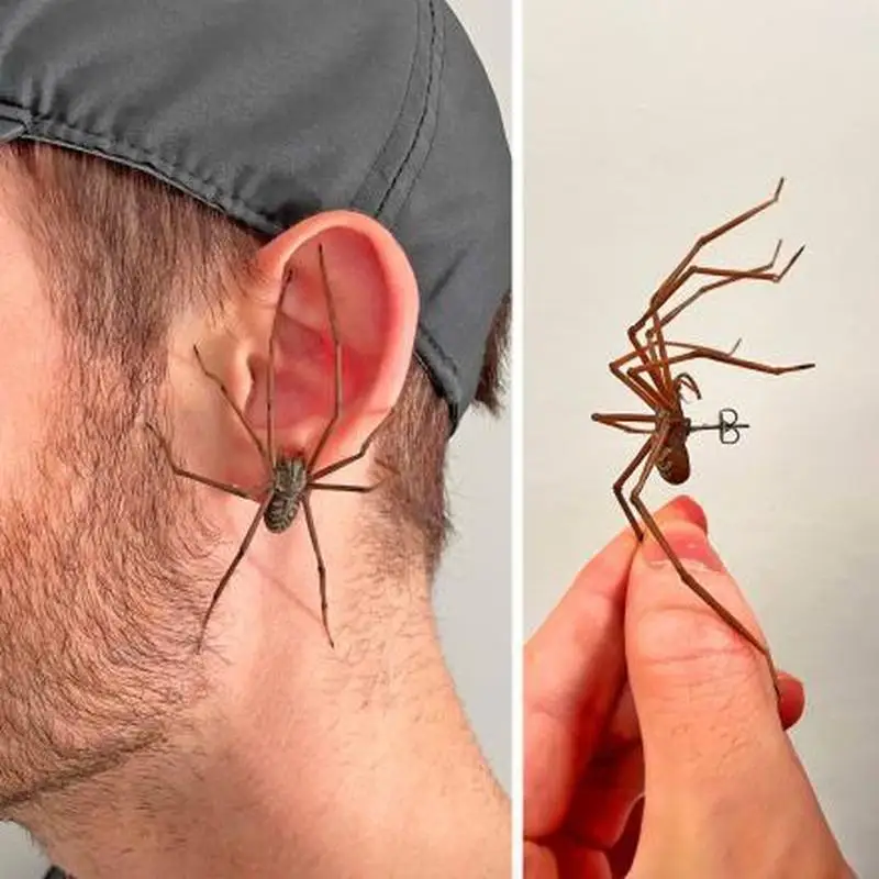 

Giant Spider Earrings European American Personalized Earrings Niche Earrings Decoration Unique Fashion Popular Gift