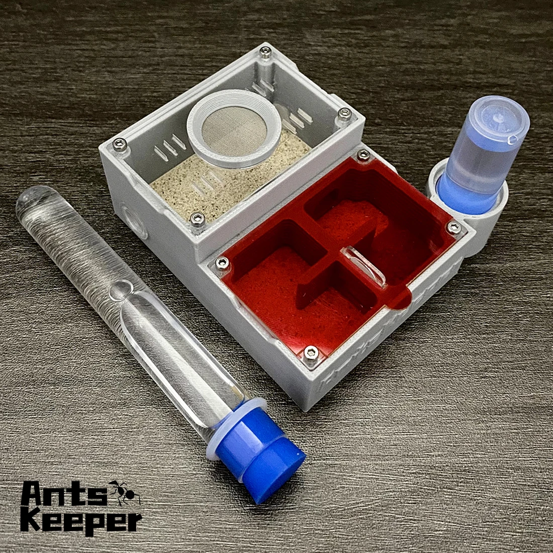 【Protetor de formigas】Gratos de design original com separação seca e úmida Quatro quartos Ninho de casa de formigas com areia dura para colônia de formigas mais grandes