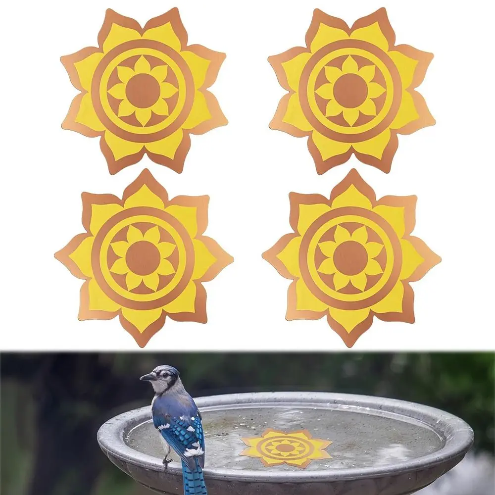 

Reinforced Pure Copper Bird Bath Copper Disk Effective Purification Reliable Bird Bath Purification Disk Water Birdbaths Cleaner