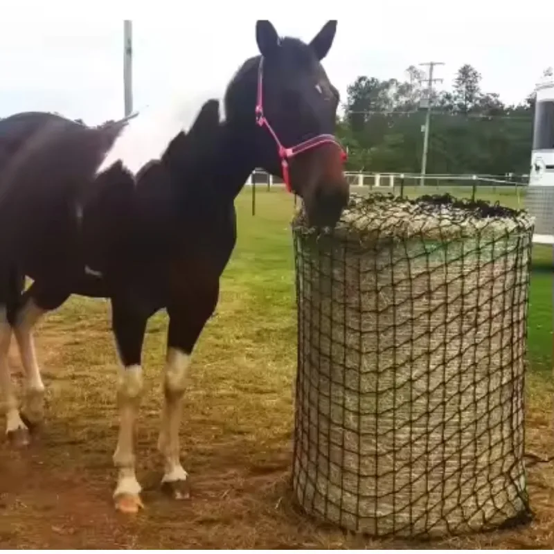 شبكة كبيرة لتغذية القش البطيء، وحدة تغذية الحصان شديدة التحمل لوسادة/المشط الخارجية #4