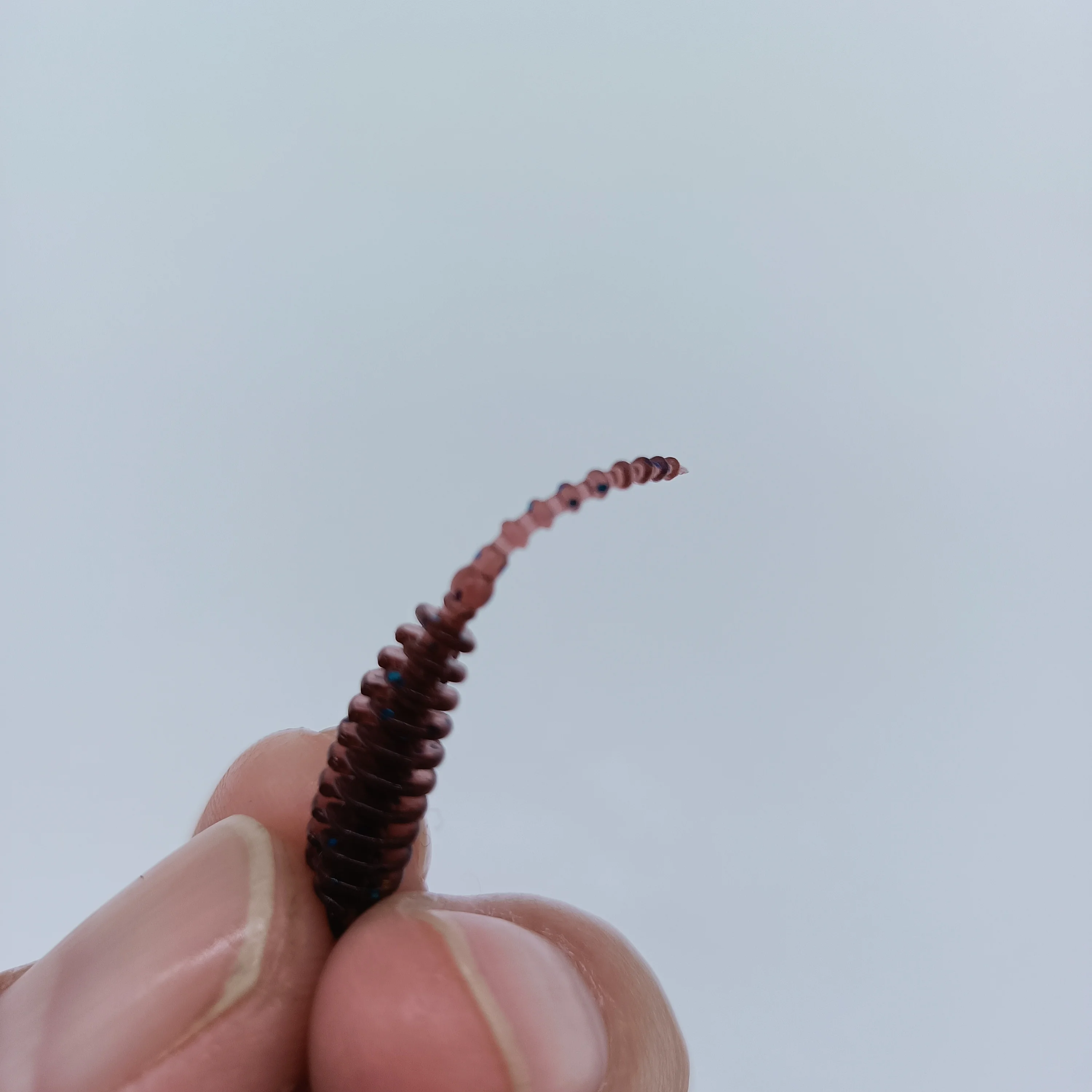 DUODUOYU 10PCS NEUE AJING Weicher Köder Rockfish Angeln Lockt 0,2g/3,5 cm MINI Künstliche Köder Swimbaits Jig locken Wobbler Wurm Tackle – Detail 15