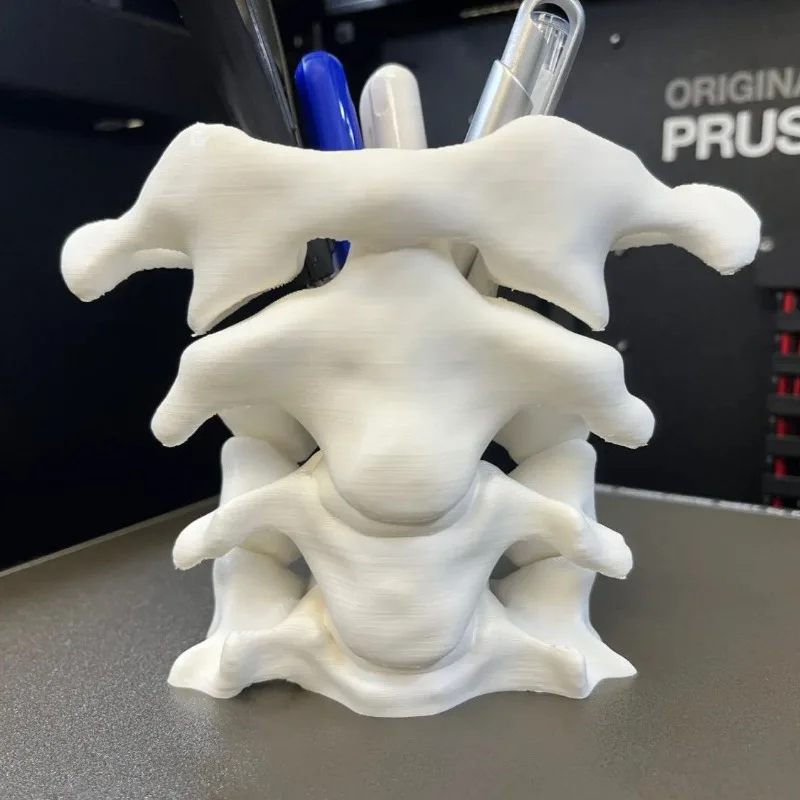 محاكاة العمود الفقري حامل قلم حامل فرشاة العمود الفقري حامل القلم الرصاص الطبية طالب هدية ثلاثية الأبعاد زهرية صندوق تخزين مكتب منظم سطح المكتب