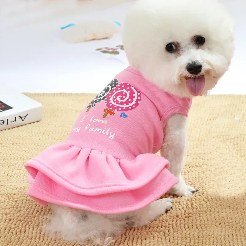 New Dog Dress Princess Teddy Dress Autumn Winter Puppy Dog Cat Pet Clothing Pomeranian Puppy Clothes