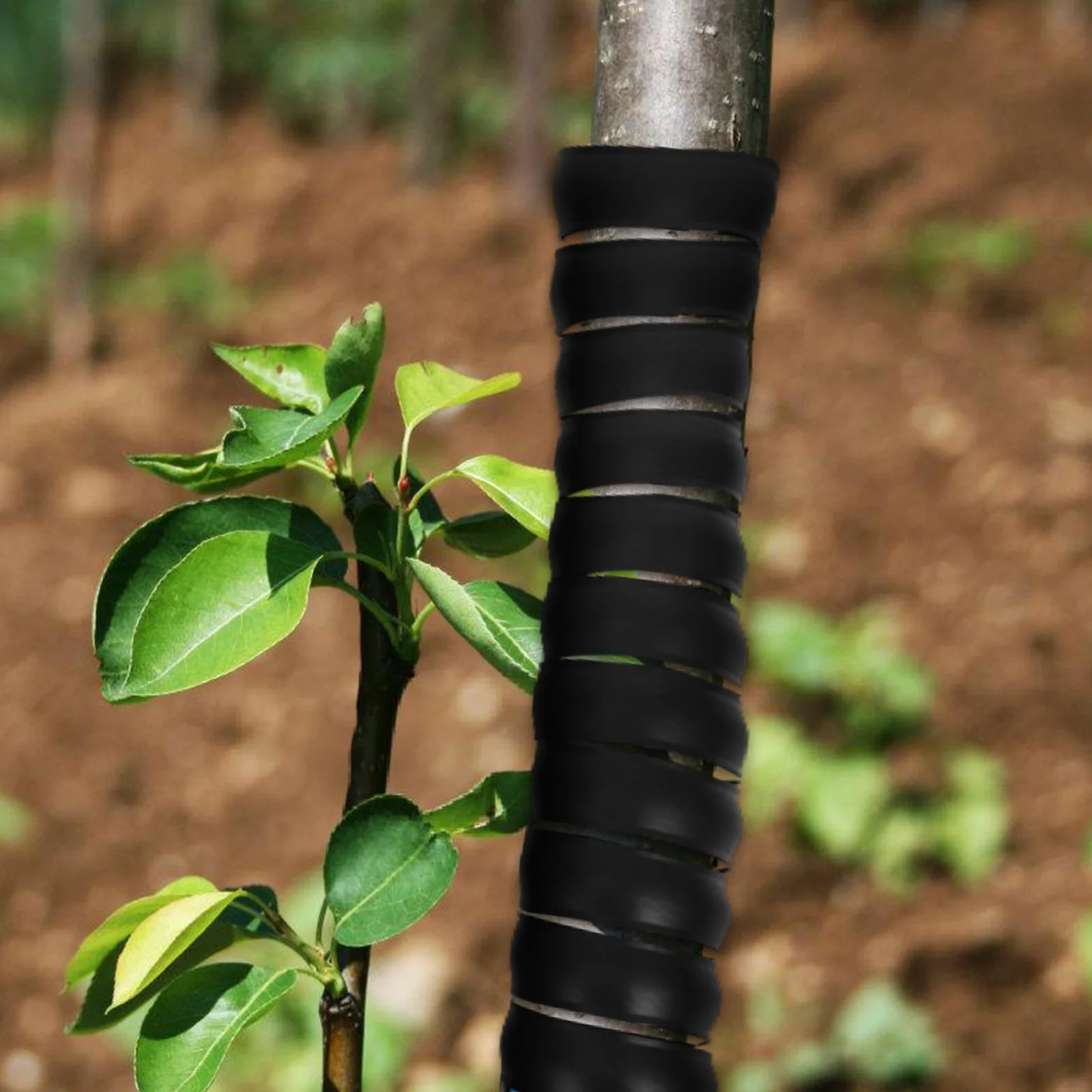 4 قطعة حماة جذع الأشجار دوامة الحرس حماية النباح من الحيوانات سهلة الاستخدام شجرة جذع حامي حاجز السنجاب للأشجار #2