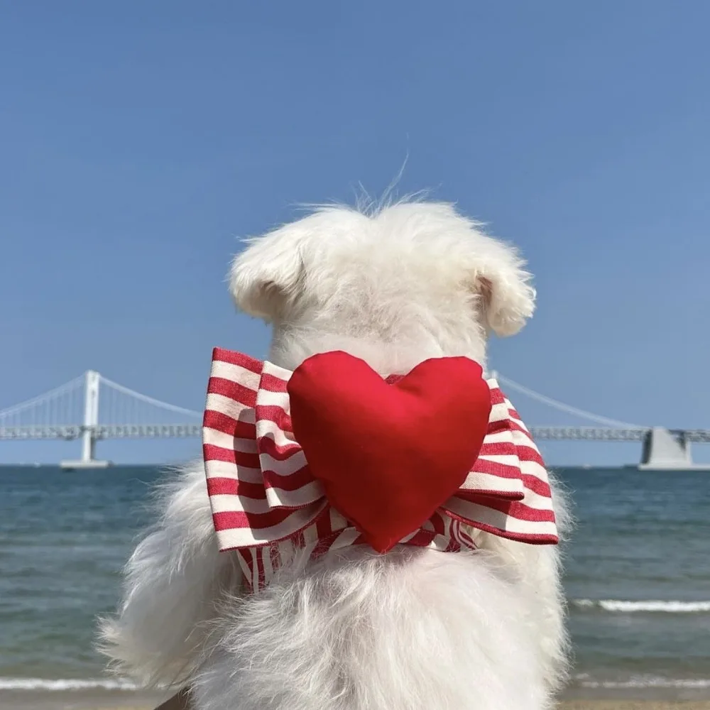 Cute Dog Harness Heart Shaped Chest Strap Dog Red Heart Stripe Set Traction Rope Chest Strap Set Maltese Walking Dog Rope Pet