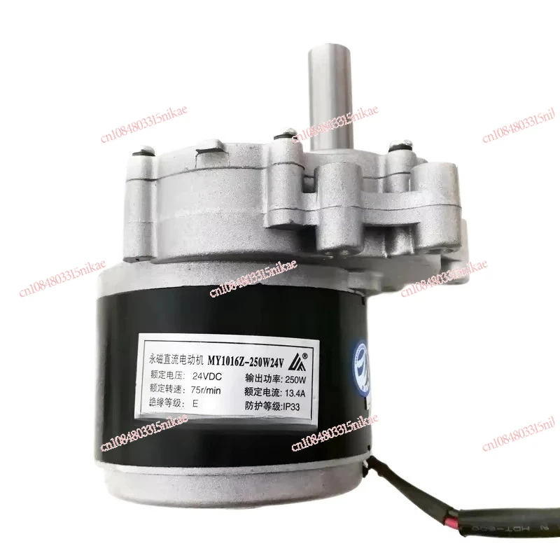 

250 Вт, 24 В, 75 об/мин/120 об/мин/160 об/мин/180 об/мин, низкоскоростной щеточный двигатель, колесный стул, шестерня постоянного тока, матовый двигатель с большим крутящим моментом, электрический MY1016Z