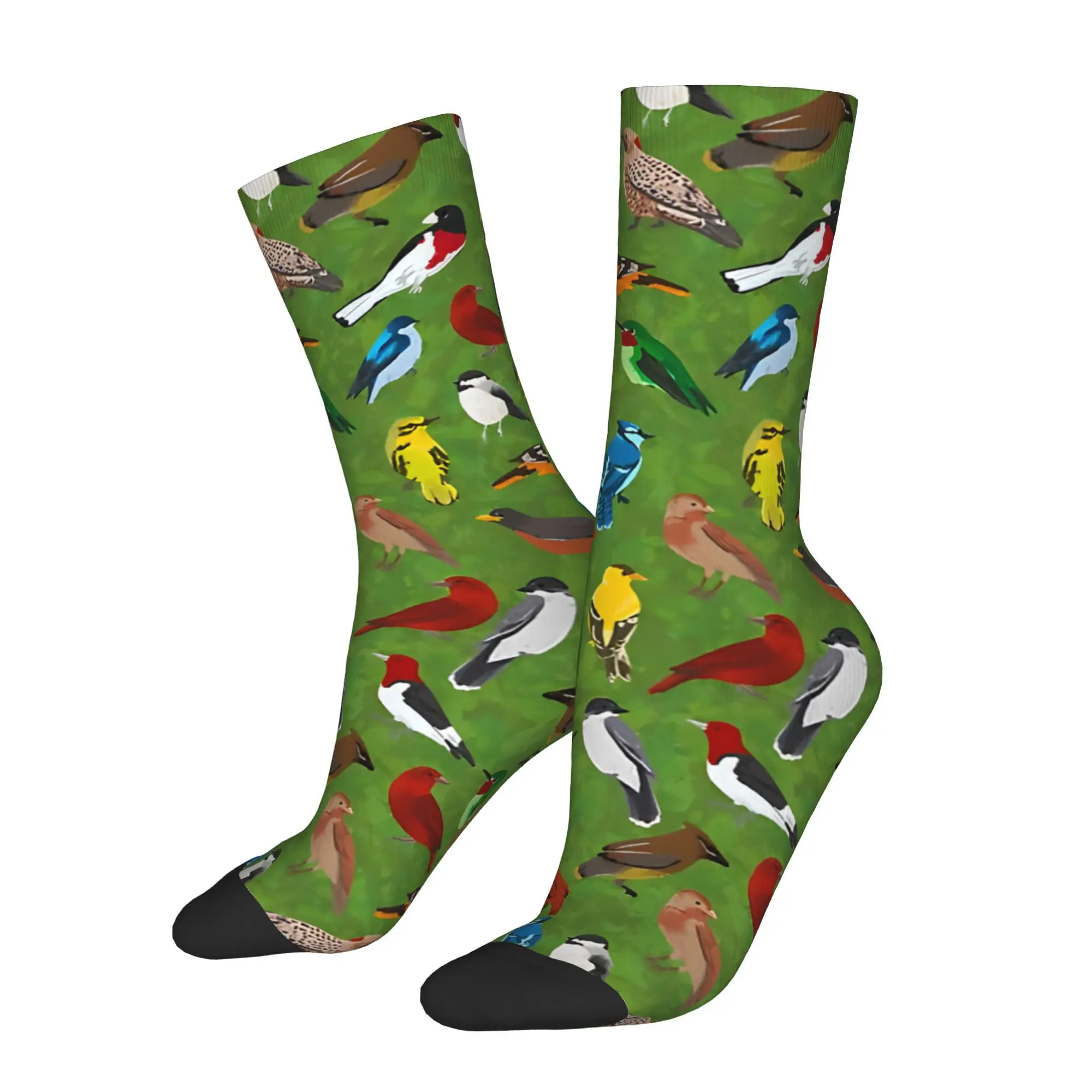 1pc Backyard And Forest Birds On Leafy Printed Men's Socks  Novelty Hip Hop Harajuku Pattern Crew Sock Casual Gift
