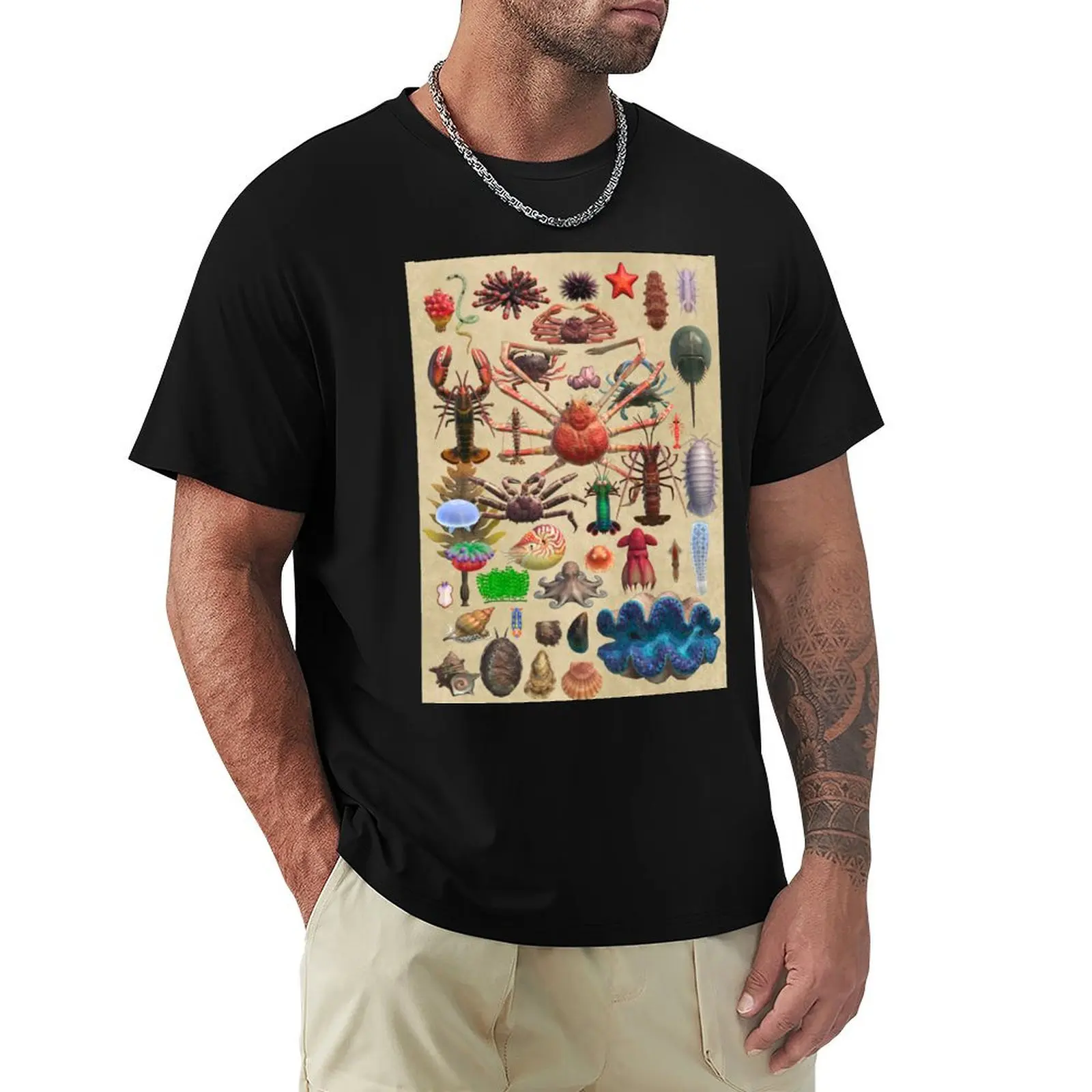Island Museum Sea Creature Exhibit T-Shirt Work Outdoor Short Sleeve Tee