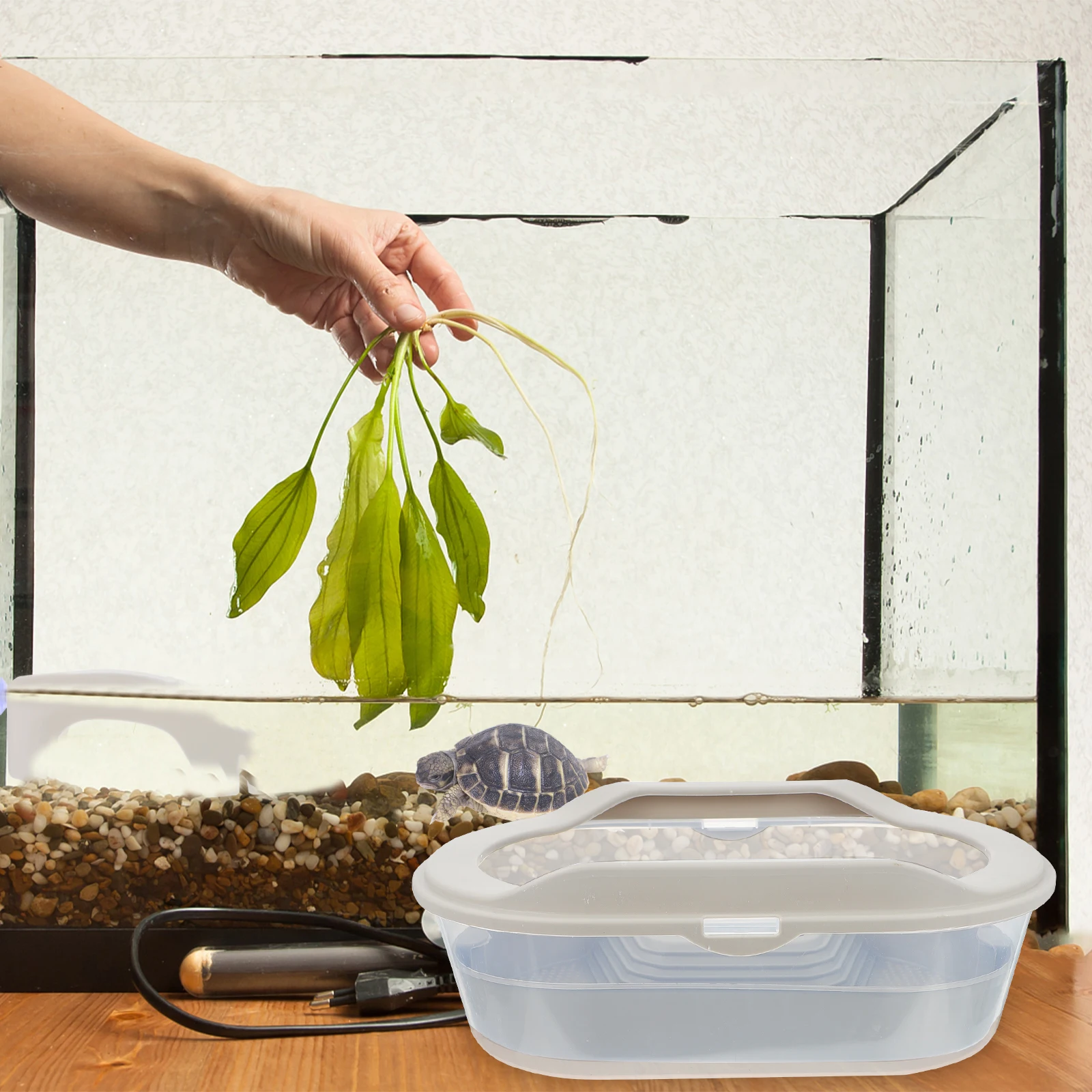 

1pc Turtle Terrarium Reptile Feeding Tank Plastic Pet Tortoise Breeding Case Leak-Proof Spacious Aquatic Cage Box For Reptile