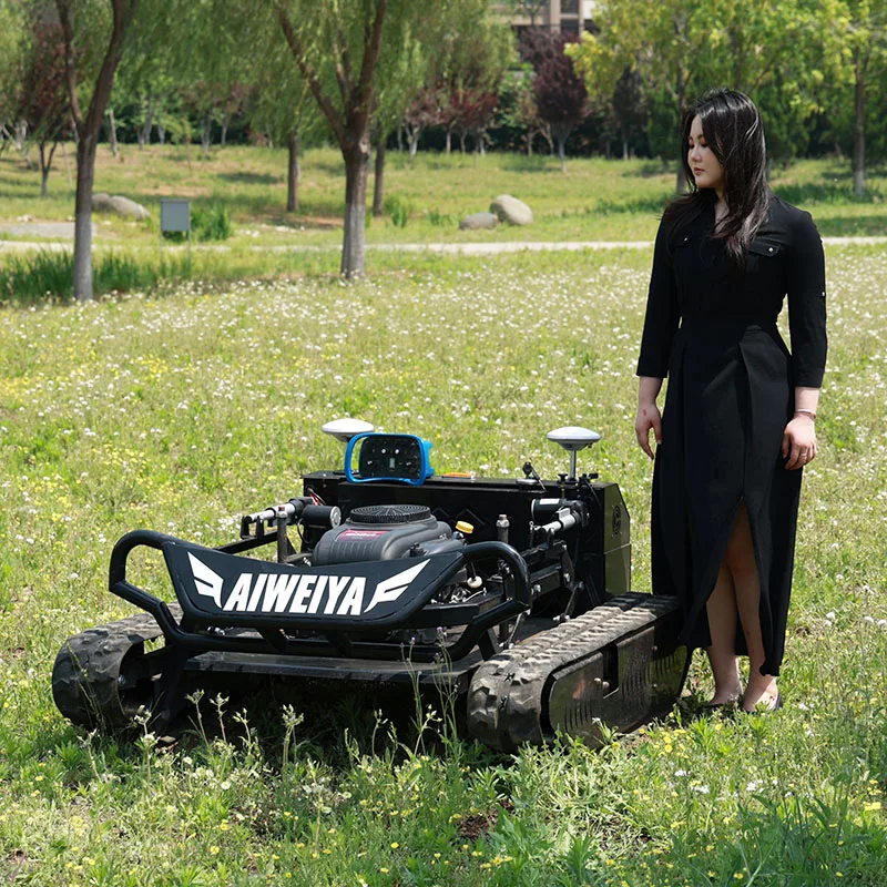 

Customized petrol lawn mower Simple Maintenance Lawn Mower Few Spare Parts Easy Repair Long Term Use Lawn Mower