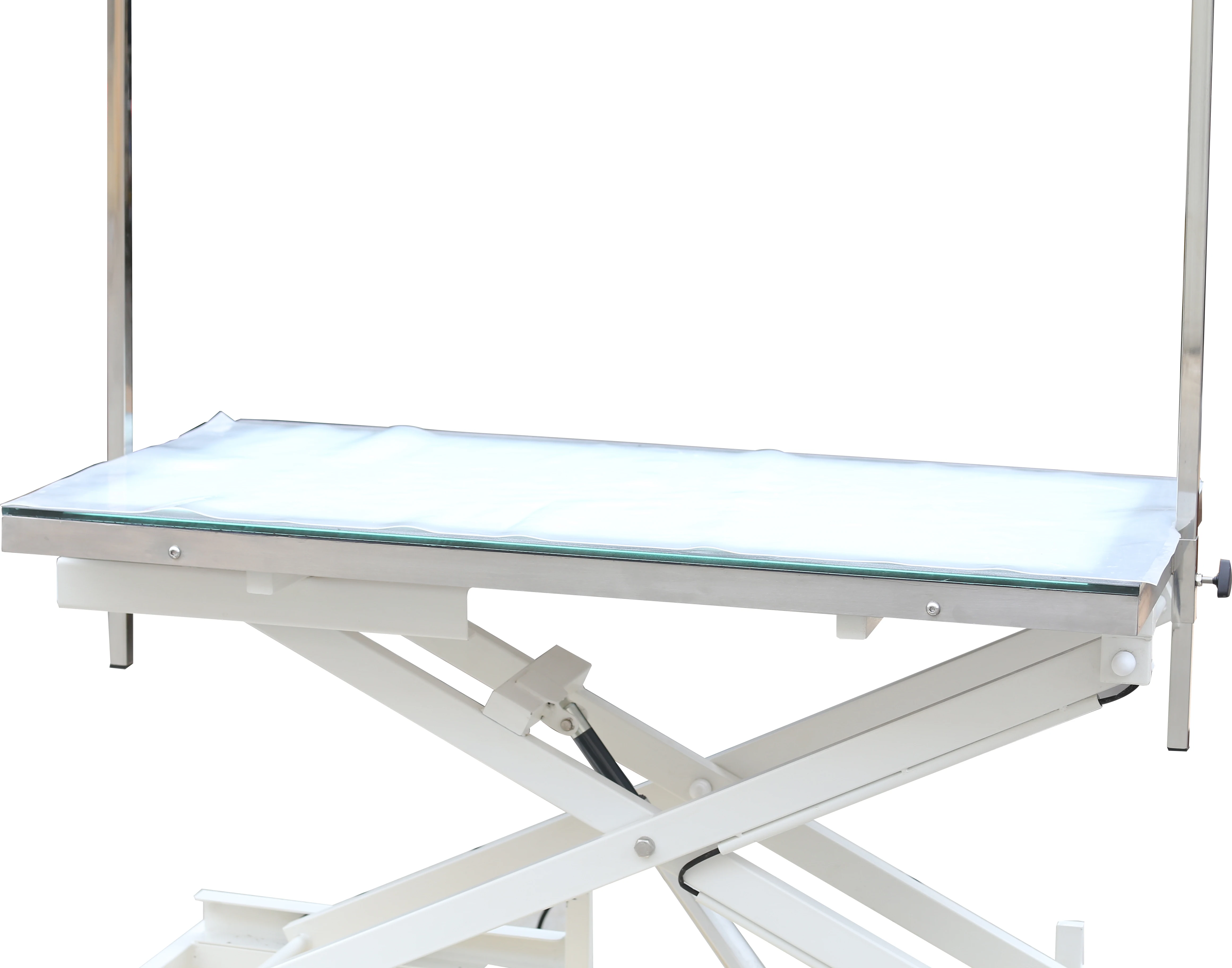 FT-829 Surgical Table Pet Grooming Operating Table Veterinary Work Table with LED Light