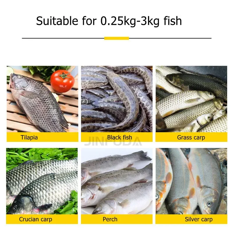 Fish Gutting And Descaling Machine Automatic Tilapia Fillet Bass Cutting Carp Killing Back Slitting Machine Visceral Machine