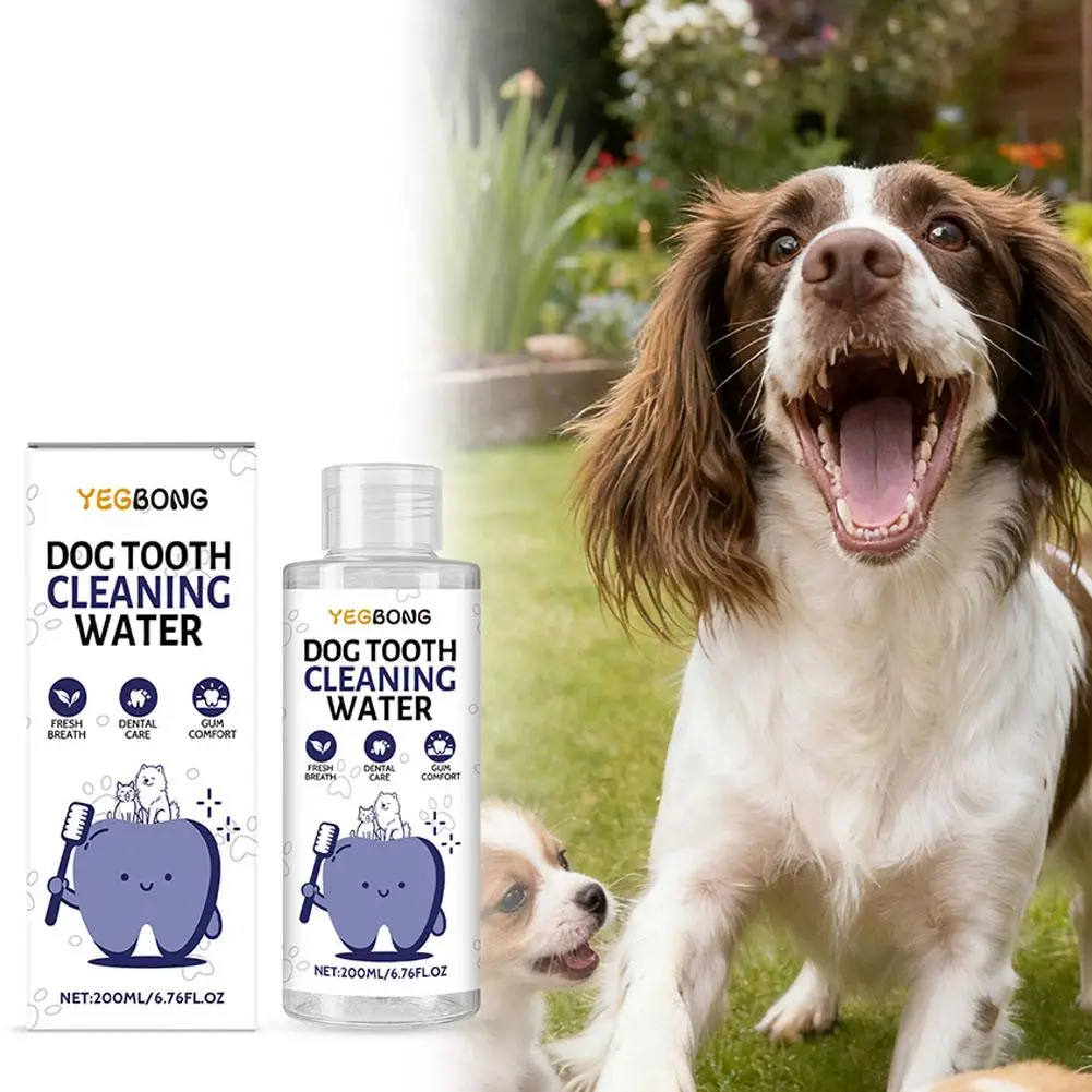 Aditivo Dental Natural para Cães: Solução Eficiente e Segura para Saúde Bucal do Seu Pet