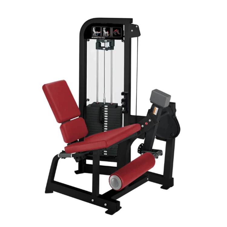 

Heavy Duty Leg Extension Trainer Supports Both Strength Training and Rehabilitation With Adjustable Settings