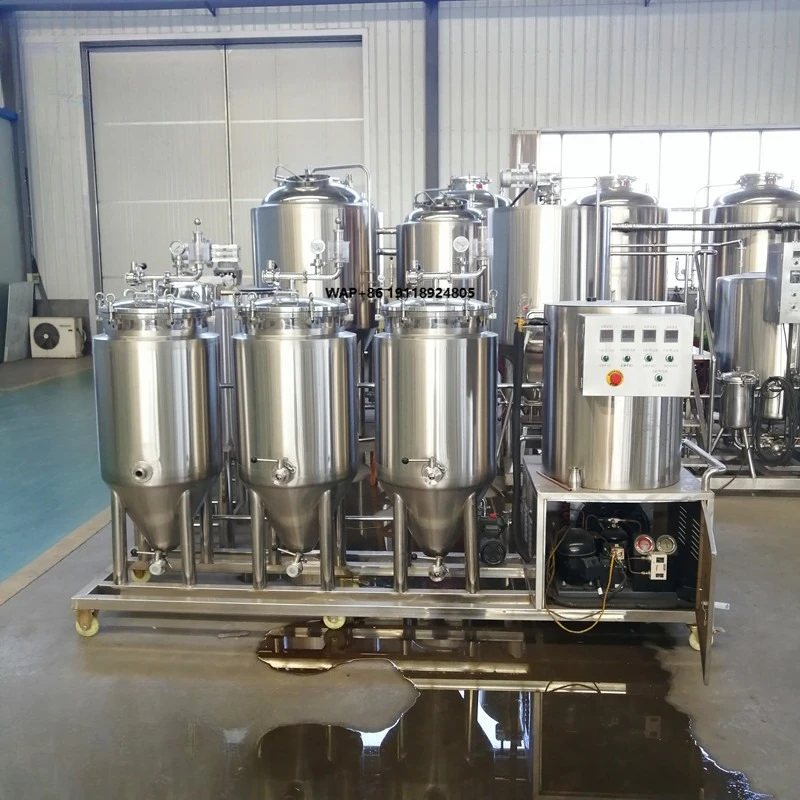 The Professional 100L 200L fermenting equipment homebrewing craft beer