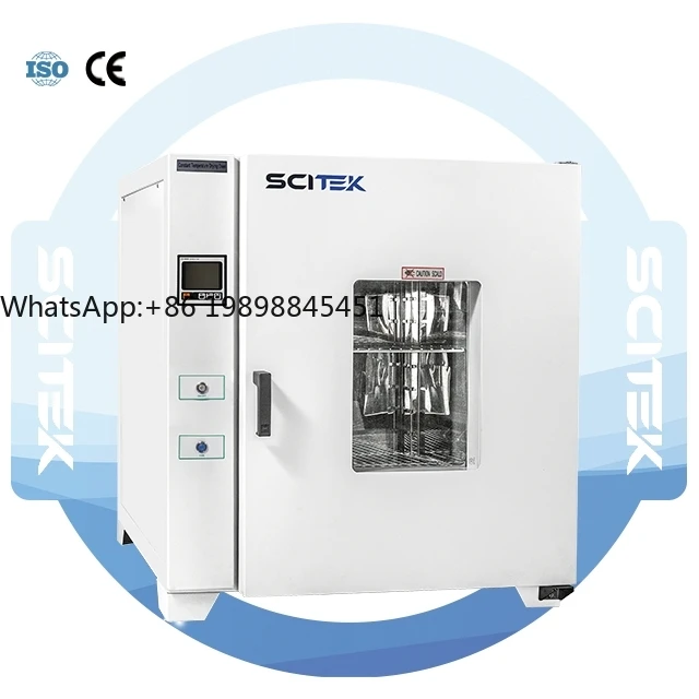 

43L / 81L / 138L / 252L Stainless Steel Drying Oven Constant Temperature Drying Oven for Laboratory Natural Convection