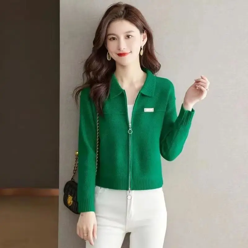 

Spring Autumn Cardigan Sweater Jacket Women 2025 New Fashion Loose Zipper Knitted Sweater Coat Female Casual Outerwear Lady Tops