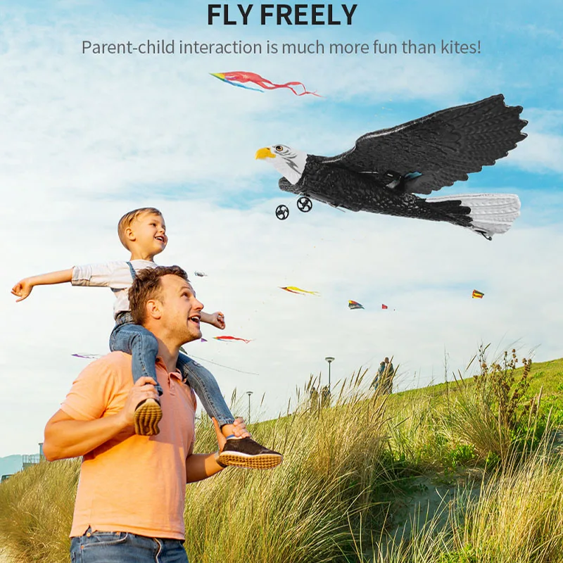 American Bald Eagle Drop Resistant Fixed Wing Remote Controlled Glider Children Model Airplane Novice Outdoor Toy Airplane Gift