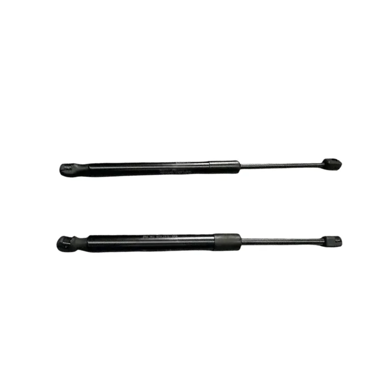 High-Quality Hood Hydraulic Lift Supports Struts, Compatible with Tesla Model 3 (2017-2023), OEM# 1091472-00-B