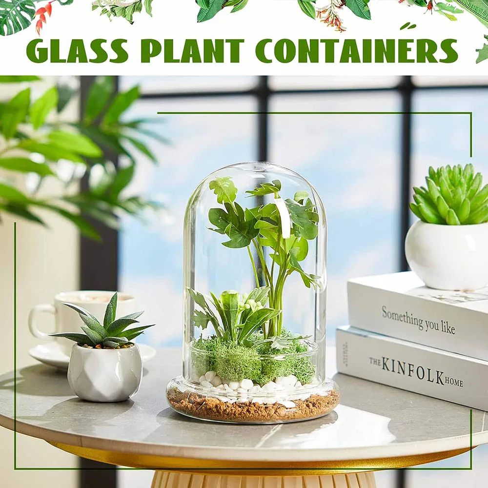 Glass Dome with Airhole Glass Cloche Bell Jar with Base Home Tabletop  Display Clear Terrarium Container for Plant, Terrarium - AliExpress