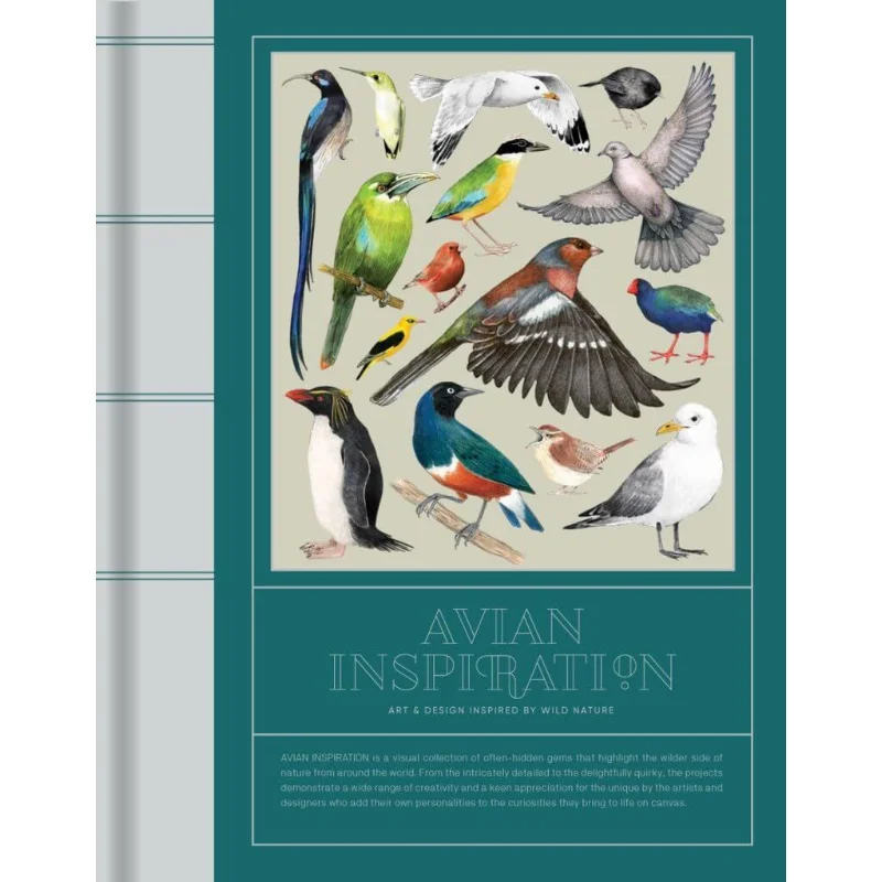 Arte y diseño de inspiración de aviación inspirados en los pájaros viccionarios 9789887684527 Libro