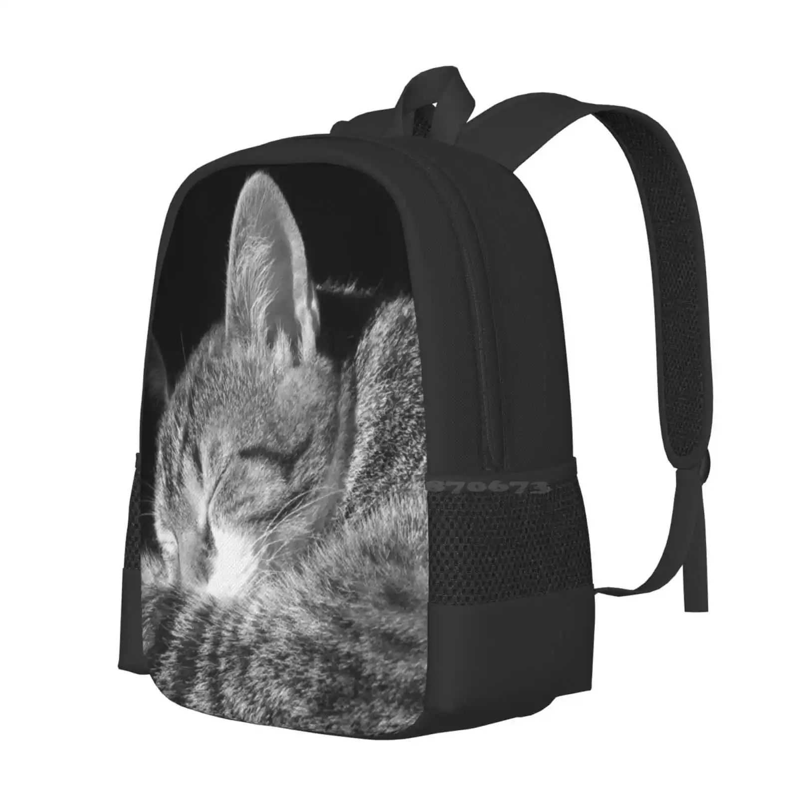 Cat Sleeping In Sun Black And White Cutest Cat Pics Fashion Pattern Design Travel Laptop School Backpack Bag Cat Sleeping In