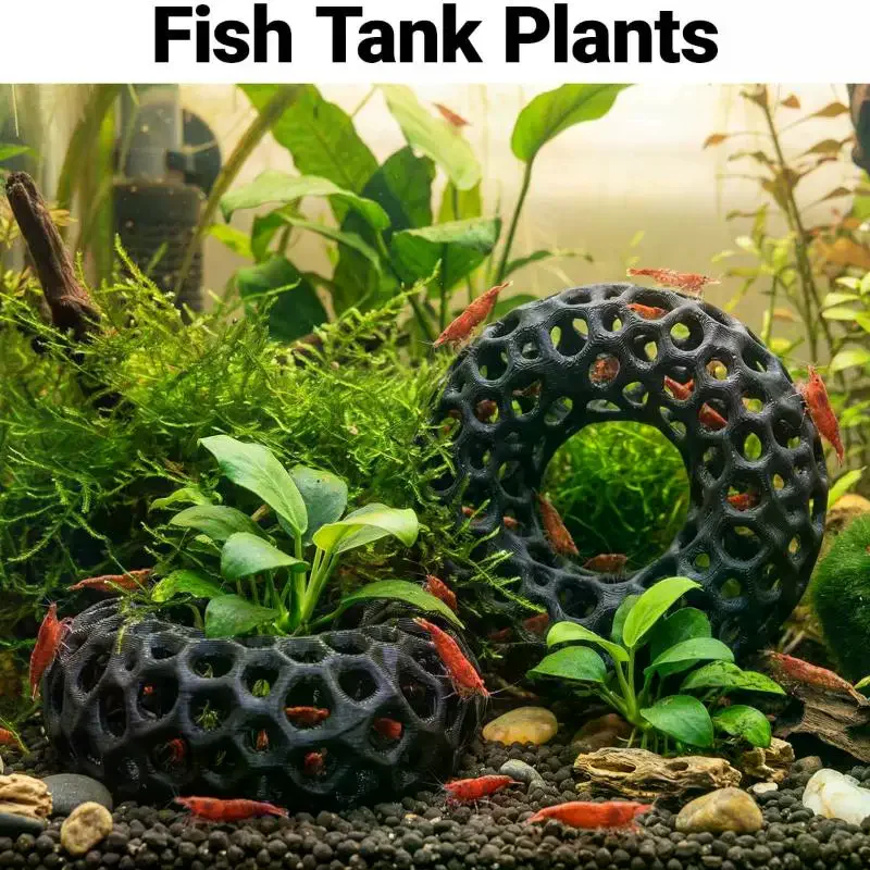 Refugio para Camarones en Form - Aquarium Plant Rings reseña y precio