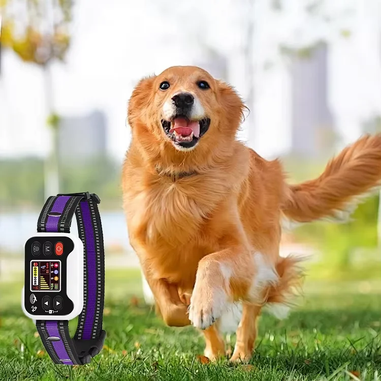 

Sound Vibration Boundary Notifications Rechargeable Wireless Dog Fence GPS Pet Training Shock Collar Electronic Fence