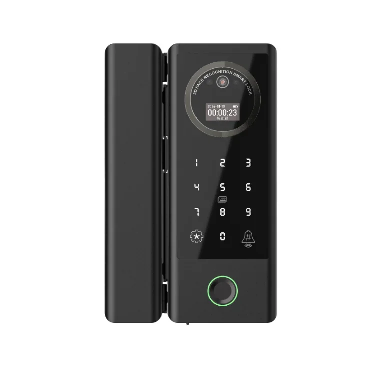 Tuya Wifi Smart 3D Face Recognition Door Lock Digital Biometric Fingerprint Card Digital Office Glass Door Lock