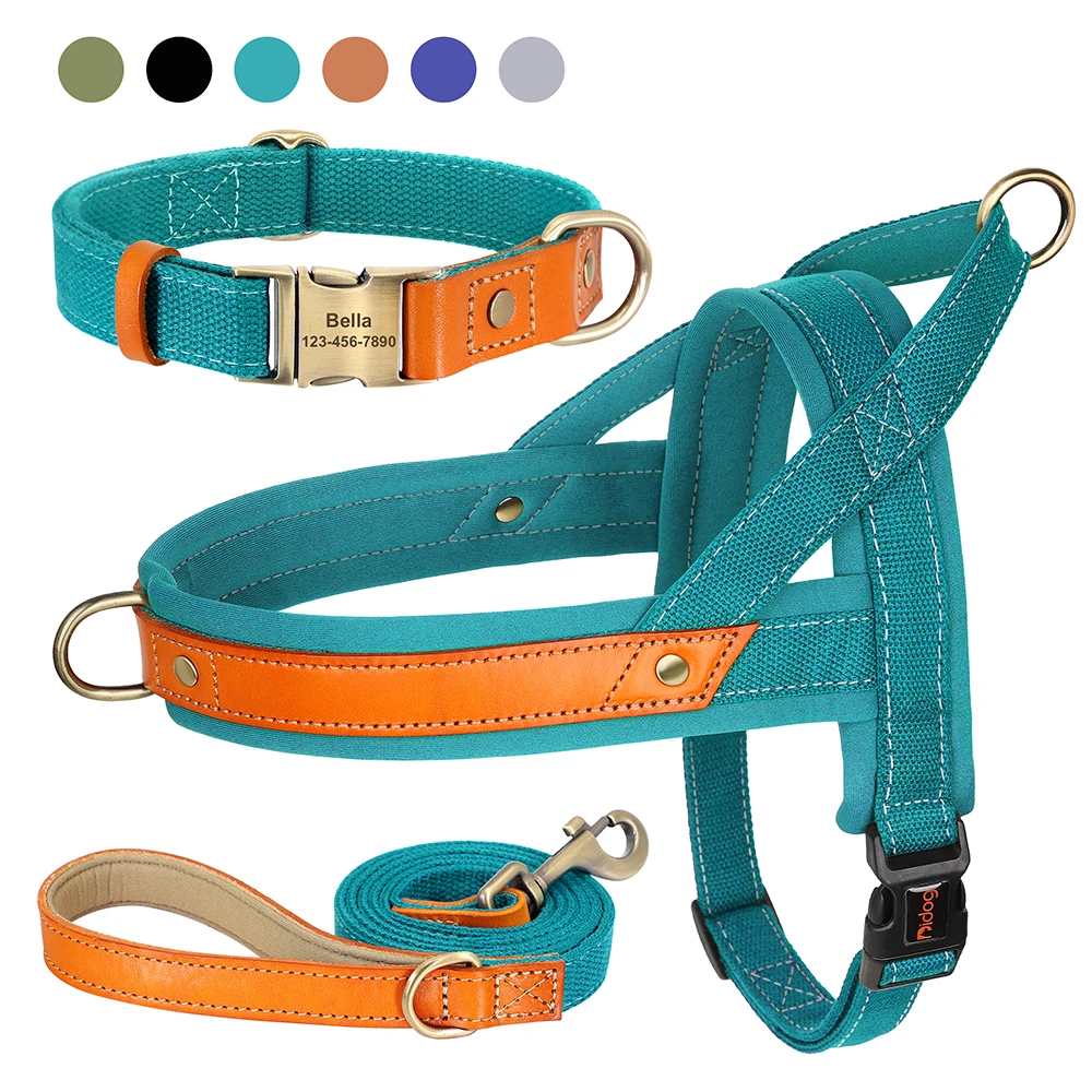 Personalized Nylon Dog Collar Leash Quick Control Harness Dogs Buckle Collars Leads Soft Padded Harness For Dogs Cats Perro