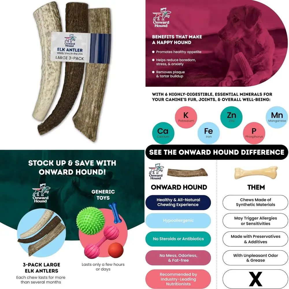 

Large 7+ Dog Antlers, 3 Pack Grade A, Long-Lasting Chews for Aggressive Chewers, Premium USA Naturally Shed Antlers for Dogs