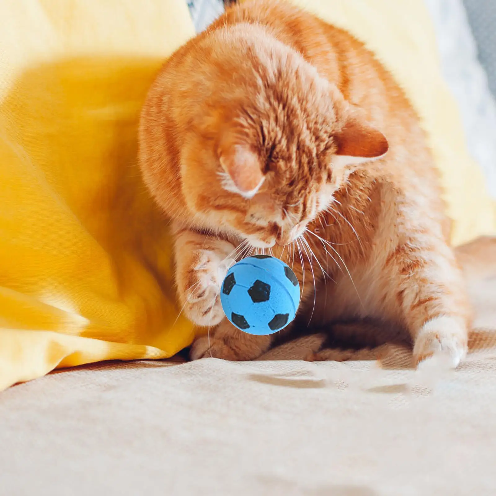 Cat Ball Pet Supplies Pet Training Funny Bite Resistant Interactive Toy Football