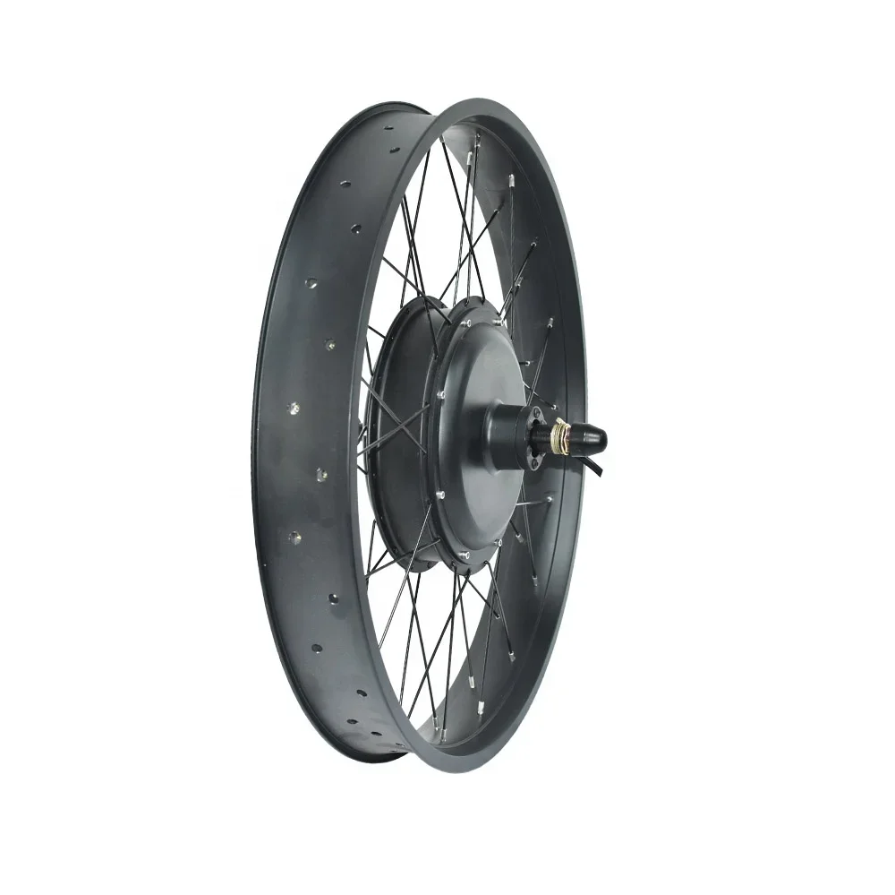 Factory Directly Sale 20x4 26x4 Fat Tire Rim 48v 1000w Fat Bike Electric Hub Motor With Wheel