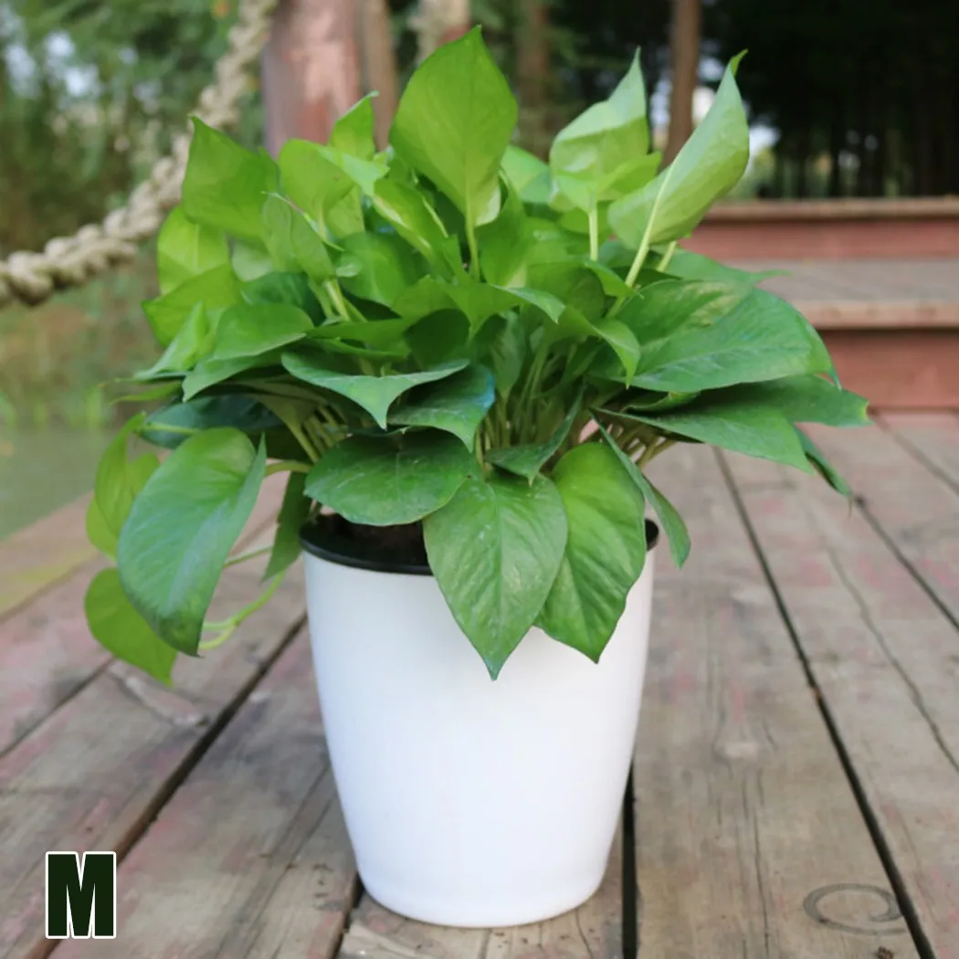 Hydroponic Flower Pot Plastic Self Watering Planter Flowerpot Office Garden Plants Basket Nursery Pots Home Decoration