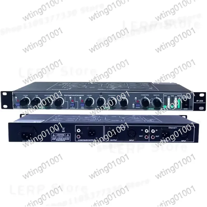 for IP300 Bass Booster Extreme Low High Frequency Enhancer Audio Equalizer Tone Control Sound Stimulator Front Panel
