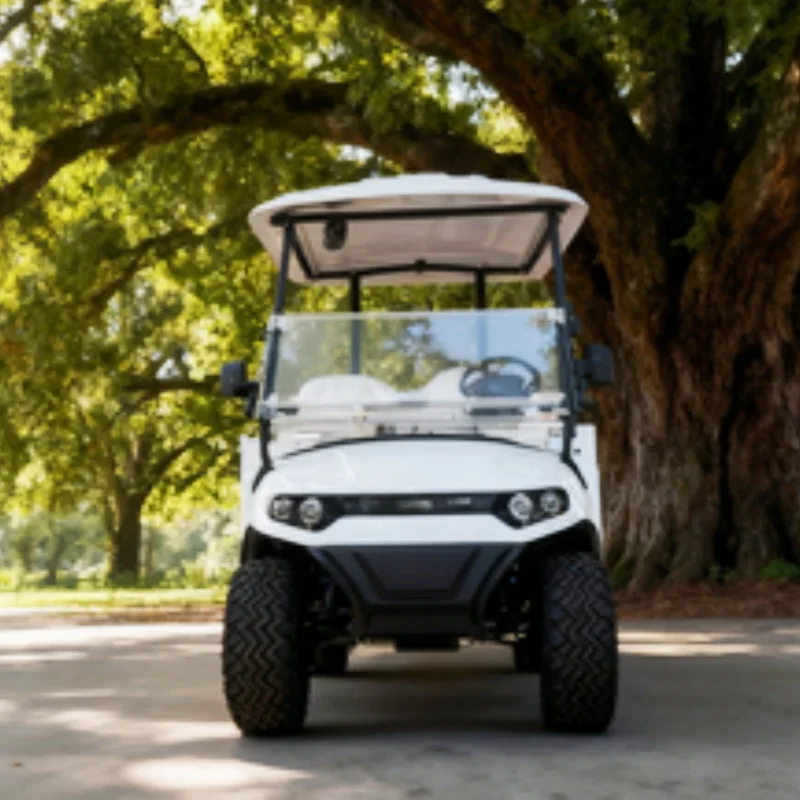 

Роскошная литиевая батарея 60/72 В по индивидуальному заказу, 2-местная электрическая тележка для гольфа, внедорожные шины, колеса из алюминиевого сплава, задняя грузовая коробка