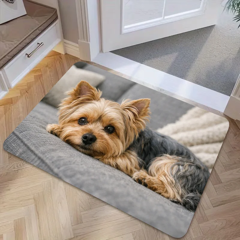Pet Themed Floor Mat  Sweet Relaxed Yorkie Dog Real Life Photography Graphic Decor Rug for Warm Home Entryway Interior Space