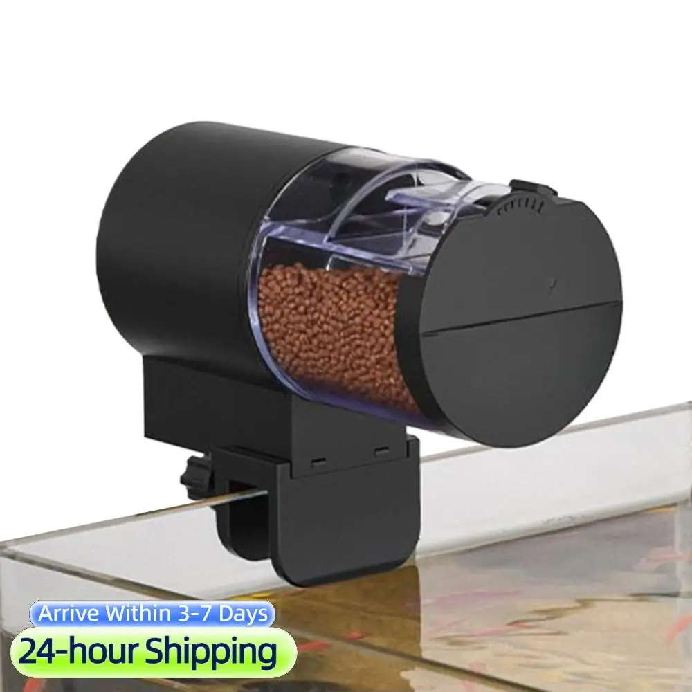 #31 Food Dispensers Comparison Guide