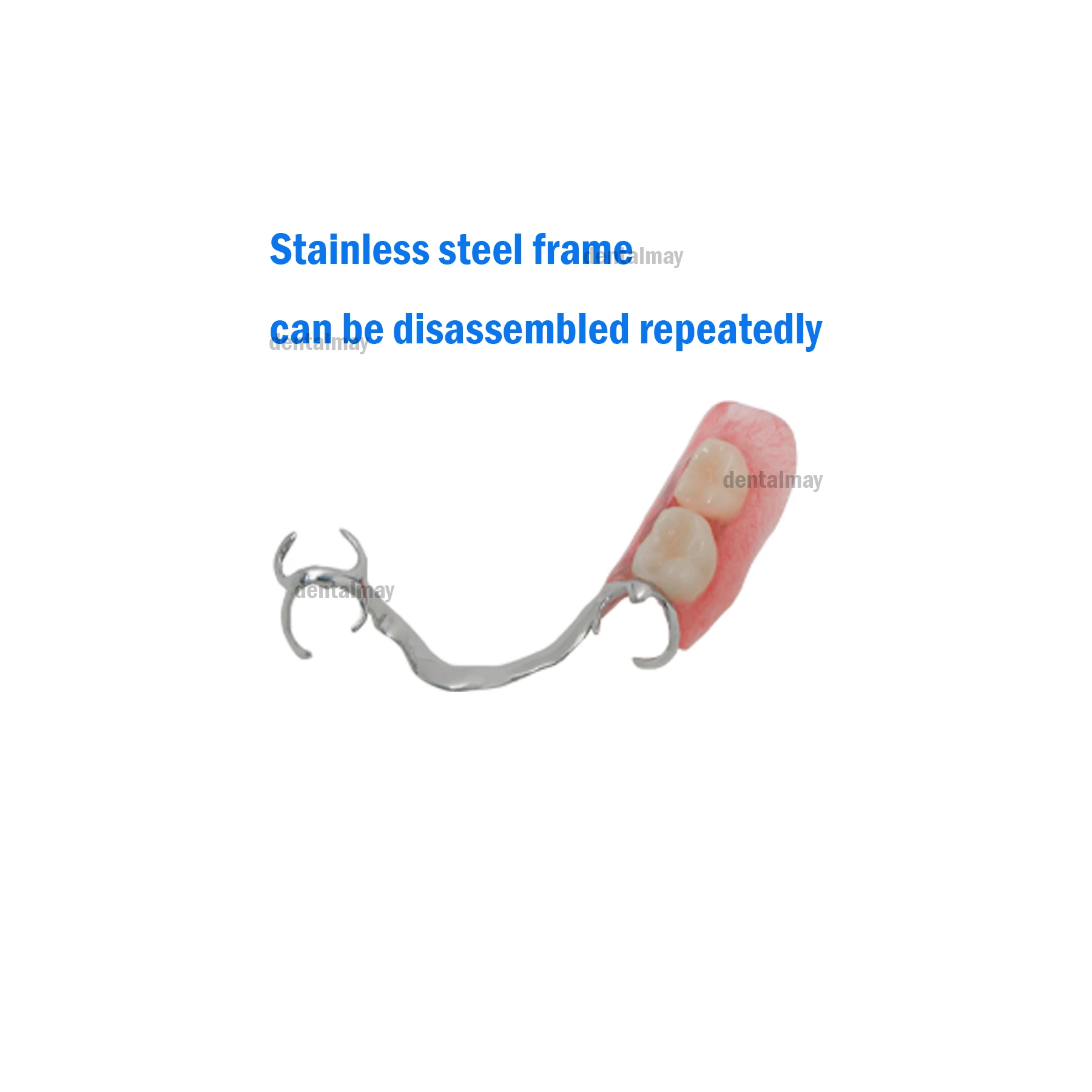 Dental Implant Restoration Typodont Teeth Model with Partial Denture M6022