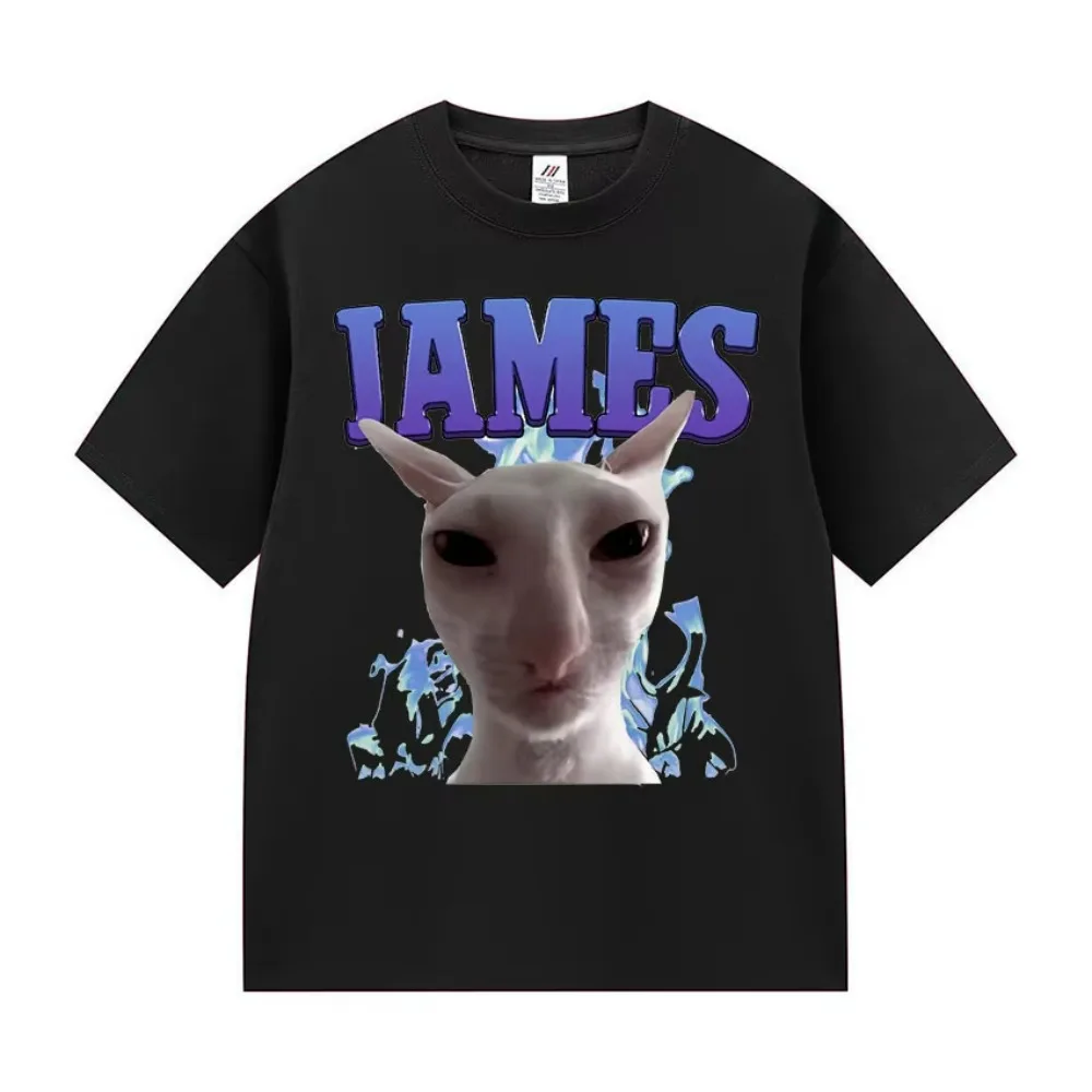 Camisetas con Memes de Gatos Divertidos de James IAMES, Regalos con Chistes Estúpidos, Camiseta de Manga Corta para Amantes de los Gatos, Camisetas de Algodón Extra Grandes de Moda para Hombre y Mujer