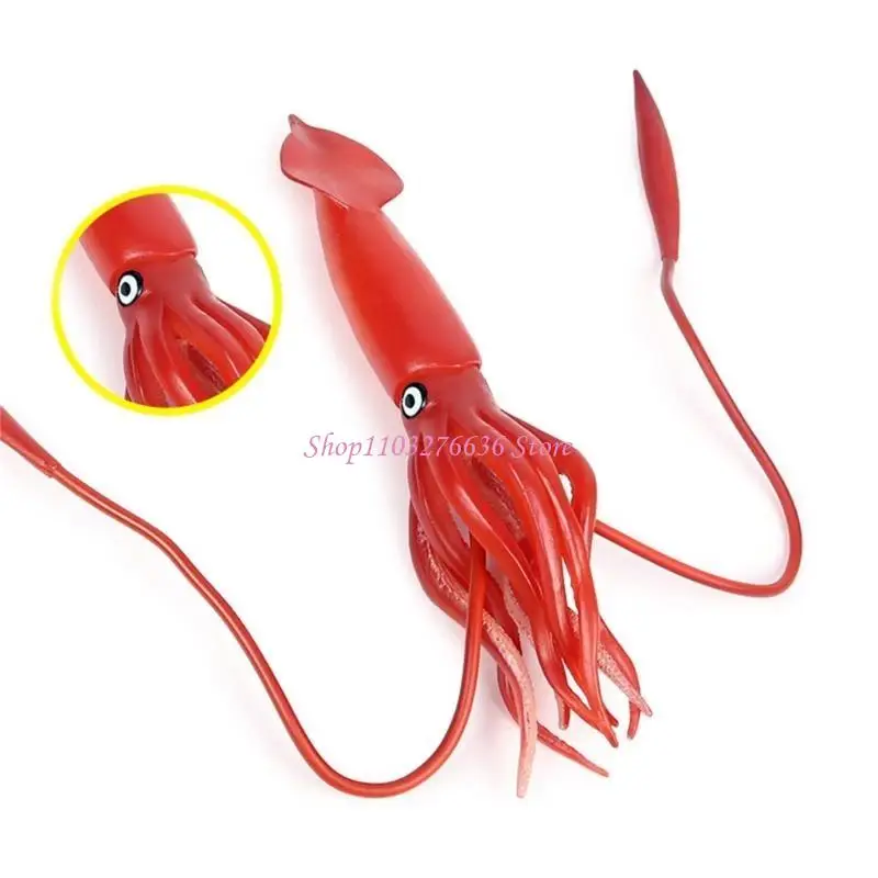 

R6FD Realistic Cuttlefish Animal Model for Science Exhibits and Classrooms Ocean Animal Model for Display and Collection