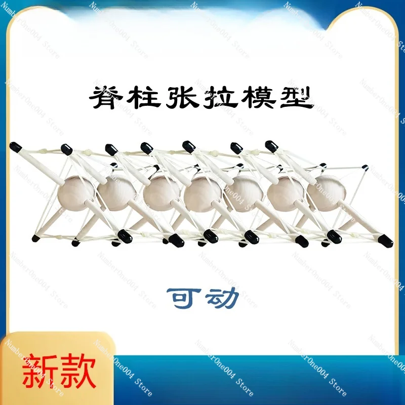 

Spinal Tensegrity Model Fascial Tensegrity Teaching Aid for Human Anatomy Demonstration