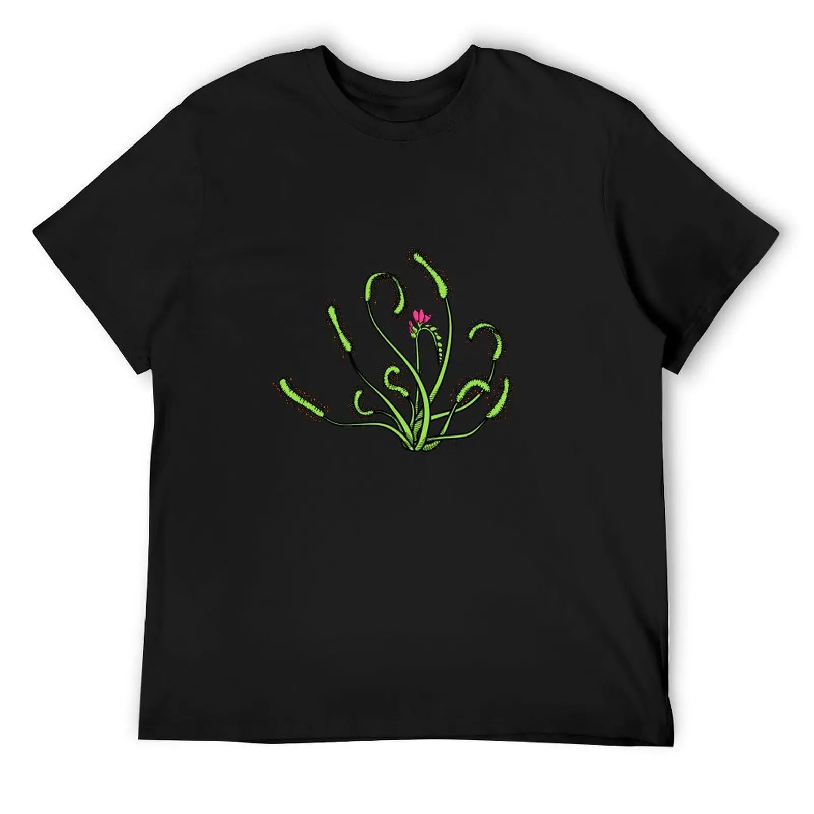 Drosera Capensis with Flower Carnivorous plant Cape Sundew Gift Drawing T-Shirt graphics graphic t shirt vintage mens clothing