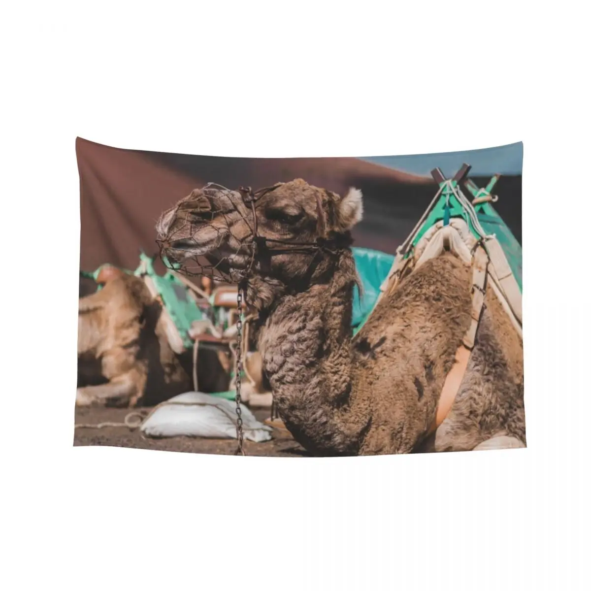 

Camel Resting Tapestry Aesthetic Home Decor Wall Art Bathroom Decor Art Mural Tapestry