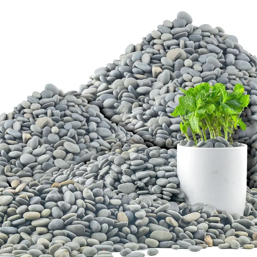 

Мексиканские пляжные камешки LB, 0,41 дюйма, натуральные необработанные камни, декоративные речные камни для ландшафтного дизайна, сада, мощения дорожек, растений, R