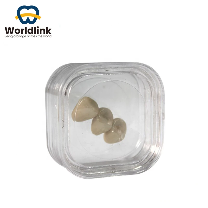 

WorldLink 10pcs Ceramic Blocks Boxes for CAD CAM Lab Compatible with Lab Materials Dental Crowns Bridges Fabrication
