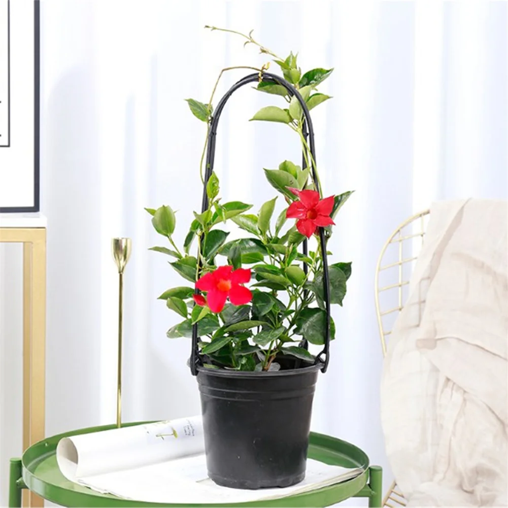 Plant Climbing Frame for Garden, treliça, tomates de plástico, simples e prático, 6pcs