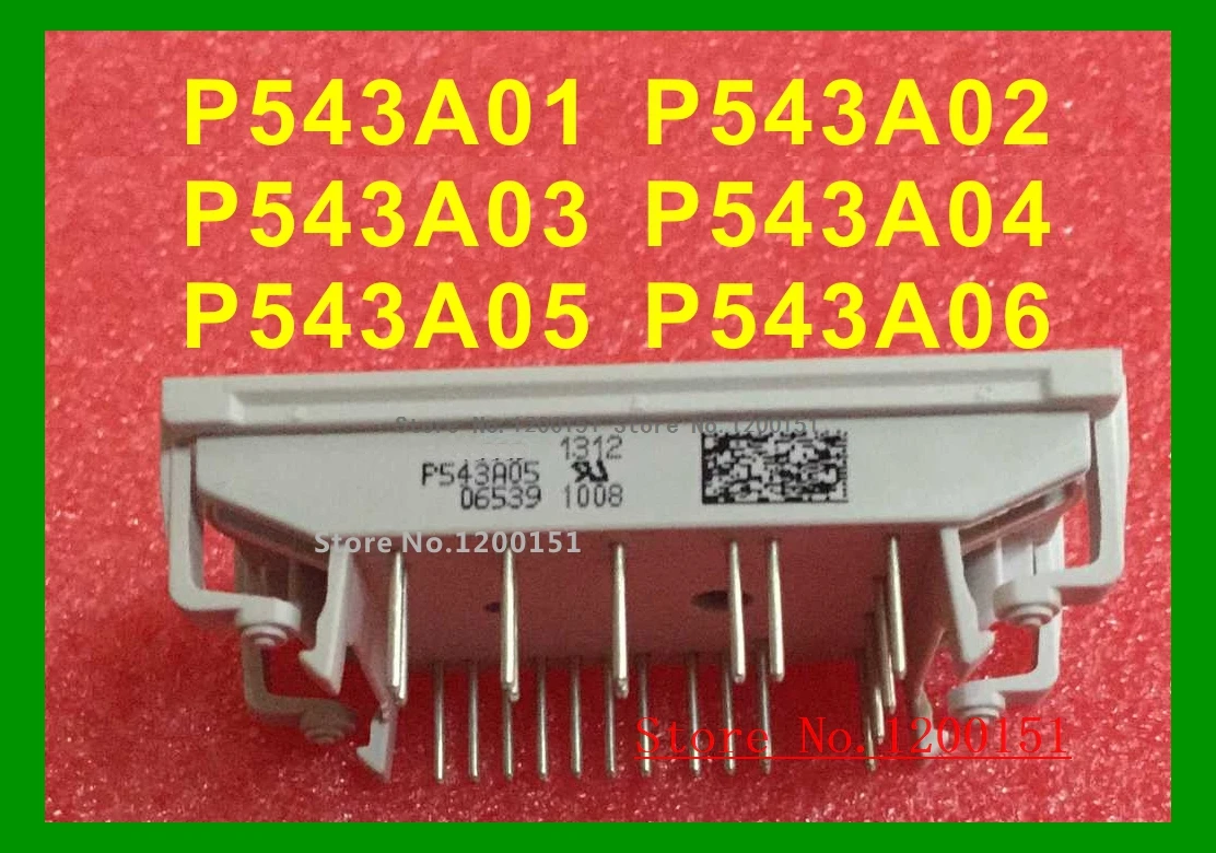 

P543A01 P543A02 P543A03 P543A04 P543A05 P543A06 MODULES